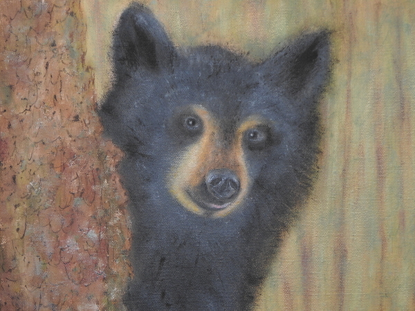 Hungry Bear