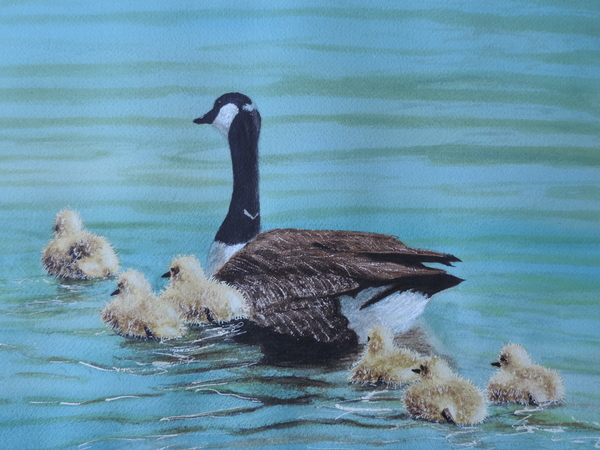 The Goslings